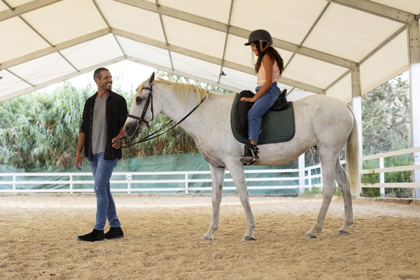 Entreprise d'aménagement de centre équestre, Arles, ZANI TP-AP